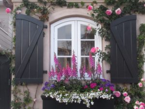 Window Boxes: The Secret to Making Your Home Look More Expensive