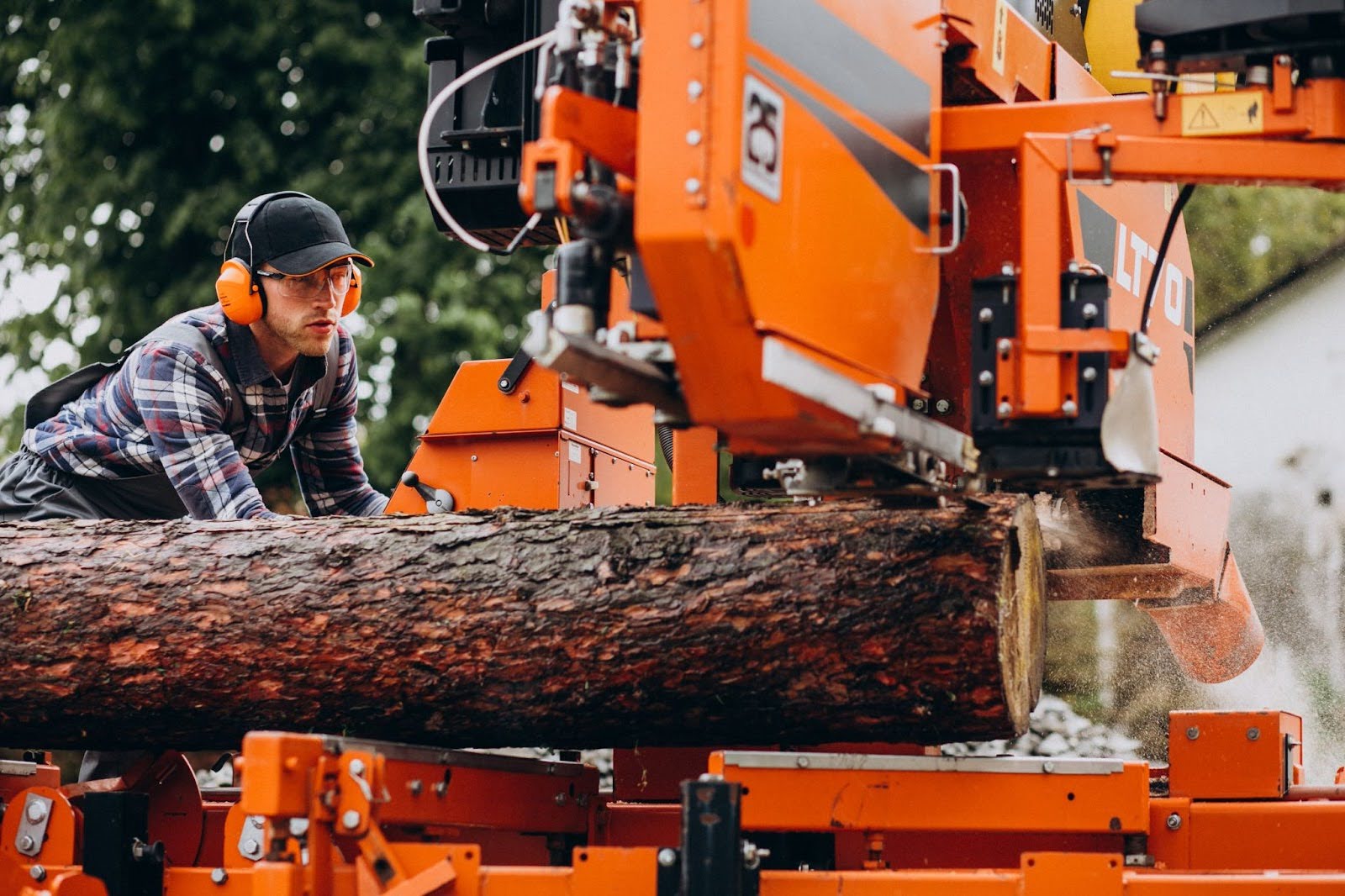 Hometown Tree Experts Provide Essential Property Care for Burtonsville, MD as Seasonal Tree Needs Increase