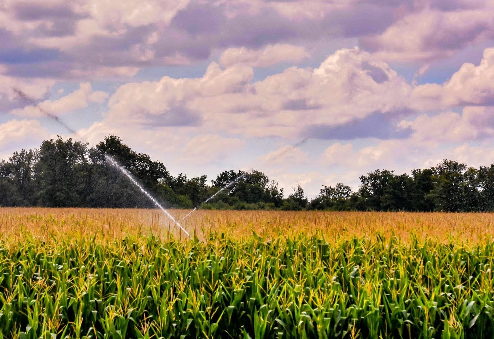 New Irrigation Systems Business Launches in Johnson County, KS to Support Local Homeowners