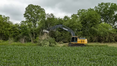 Tree Removal Services in Rockville, MD Address Safety Risks After Winter Tree Damage