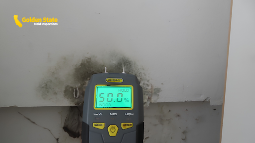 How Do I Get My House Tested for Mold