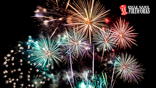 What Should I Do If My Pet Is Scared of Fireworks?